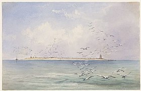 Île de Raine sur la Grande Barrière de corail par Edwin Augustus Porcher, 1844