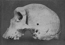 Skull found in 1921