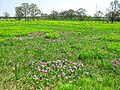 2015年1月22日 (木) 12:47時点における版のサムネイル