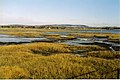 Slano močvirje East Chidham (Chichester Harbour, južna Anglija)