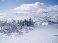 Vista do topo da pista de esqui