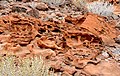 Tafoni in rotem „Karoo“-Sandstein (Permokarbon) bei Twyfelfontein in Namibia