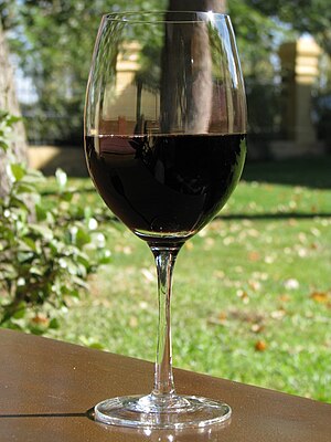 A glass of Malbec wine from Argentina