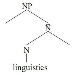 Figure 3 The X-bar structure of the NP linguistics.png