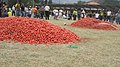 Tomatina festival