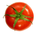 Tomato-top.png : vue de dessus