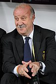 Vicente del Bosque managing Spain at the Euro 2012 final.