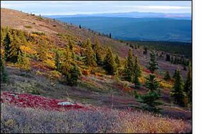 White Mountains NRA AK.jpg