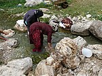 Qashqaïkvinnor som tvättar ull i en källa i Sarab Bahram (Cheshm-e Sarab Bahram) i regionen Noorabad i provinsen Fārs i Iran