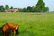 Huis ter Hansouwe (gezien vanaf het Eelderdiep)