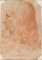 Francesco Melzi, Ritratto di Leonardo da Vinci, ca. 1515-1518