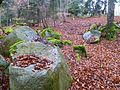 Burgruine Klamleiten: Zur Gusen hin abgestürztes Mauerwerk