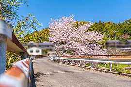 新野町清貞（橋梁）