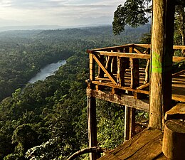 Clima de selva tropical Af en la provincia de Pastaza.