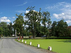 Náves s rybníkem a autobusovou zastávkou PID v Březové