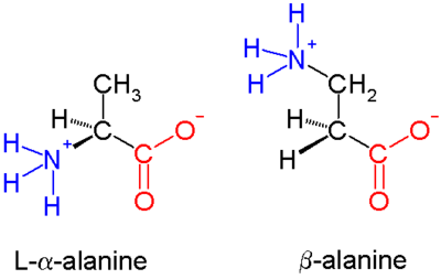 β-alanin, příklad β aminokyseliny. Aminoskupina se neváže na uhlík α, ale na uhlík p, což je v tomto případě methylenová skupina.