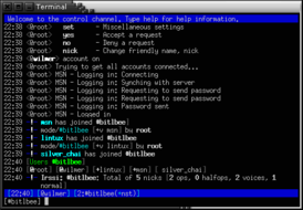 Скриншот программы BitlBee