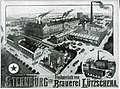 Brauerei Sternburg Lützschena-Leipzig (rechts unten Ansicht der Außenstelle Schkeuditz), um 1907