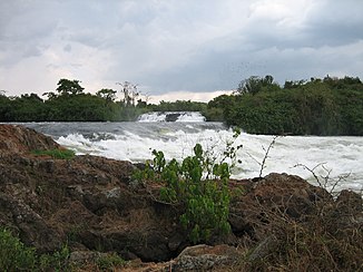 Detailaufnahme der Bujagali Falls des Nil im Januar 2006