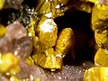 Image 9Carnotite (yellow) is a radioactive uranium-bearing mineral. (from Mineral)