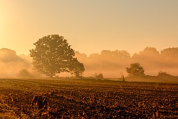 Amanhecer na aldeia Börnste, Kirchspiel, Dülmen, Renânia do Norte-Vestfália, Alemanha. (definição 5 469 × 3 647)