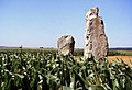 The menhirs