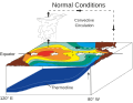 エルニーニョのサムネイル