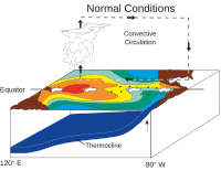 Normal Pacific pattern: Equatorial winds gather warm water pool towards Australia and the Coral Sea. Cold water upwells along South American coast. (NOAA / PMEL / TAO)