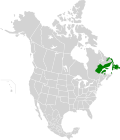 Vignette pour Forêts de l'Est du Canada