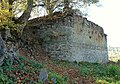 Ruine Ritterburg Bringhausen