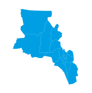 Elecciones provinciales de Catamarca de 2019