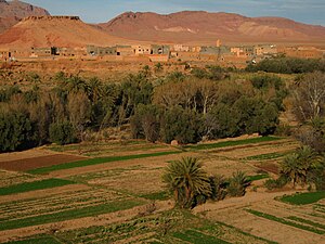Erfoud, Tafilalt region, Morocco