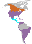 Widespread in North, Central and South America