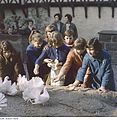 Jugendliche füttern Tauben im Wartburghof (um 1960)