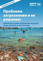 Миниатюра для Файл:From Pollution to Solution a global assessment of marine litter and plastic pollution, synthesis report, Russian.pdf