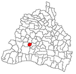 Location in Dolj County