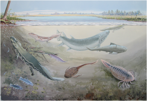 The Devonian period (419-359 Mya), also known as the Age of Fishes, saw the development of early sharks, armoured placoderms and various lobe-finned fish, including the tetrapod transitional species Gessetal2023 environment reconstruction.png