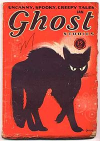 Couverture d'un livre sur les fantômes avec un chat noir