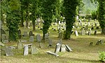 Hranice JewishCemetery 40447.jpg