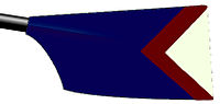 Image showing the rowing club's blade colours