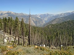 Lookout Trail, Kings Canyon