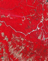 Main Causes Of Deforestation In Tropical Africa