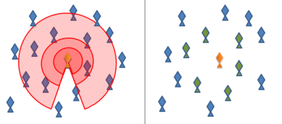 In the metric distance model of a fish school (left), the focal fish (yellow) pays attention to all fish within the small zone of repulsion (red), the zone of alignment (lighter red) and the larger zone of attraction (lightest red). In the topological distance model (right), the focal fish only pays attention to the six or seven closest fish (green), regardless of their distance. Metric vs topological distance in schools of fish.png