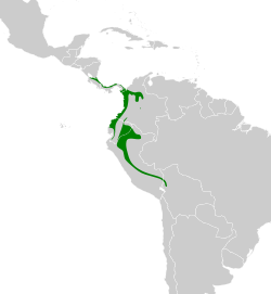 Distribución geográfica del soterillo caricastaño.