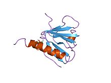 PDB 1irs EBI.jpg