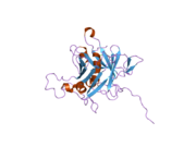 1s31: Crystal Structure Analysis of the human Tub protein (isoform a) spanning residues 289 through 561