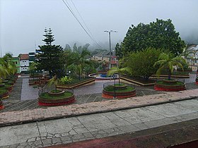 Pauna