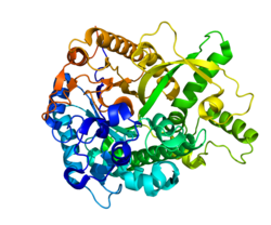 Protein GBA3 PDB 2E9L.png