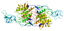 Протеин GLRB PDB 1t3e.png