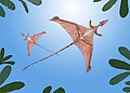 Reconstruction de Sharovipteryx par Dimitri Bogdanov